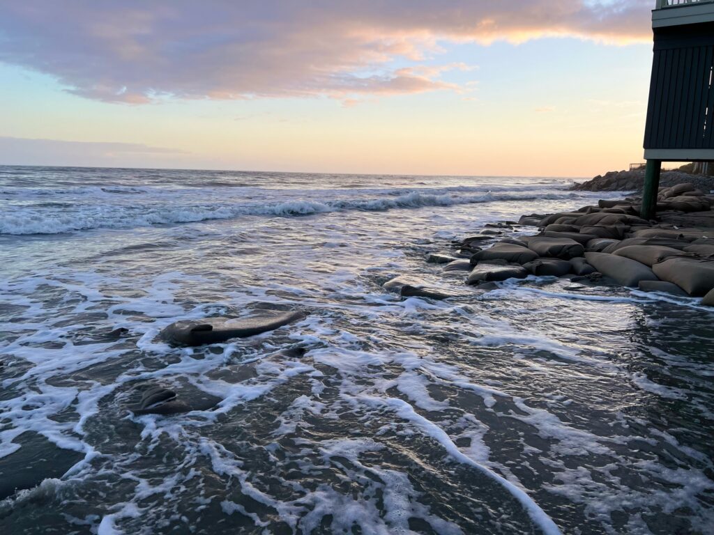 a rocky beach with waves crashing (MyCoast AI)