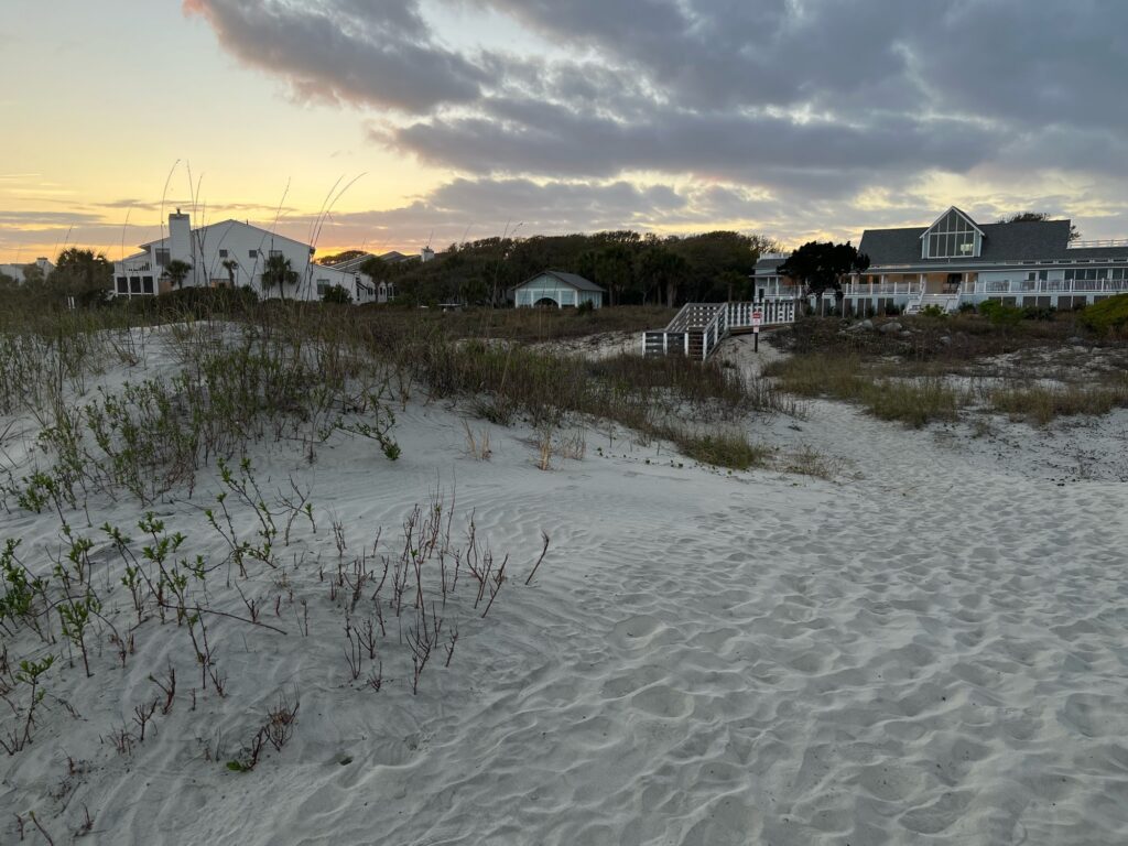 a beach with houses in the background (MyCoast AI)