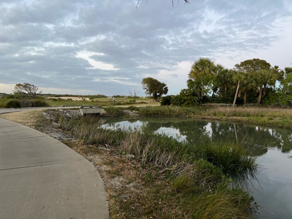 a small pond with trees and grass (MyCoast AI)