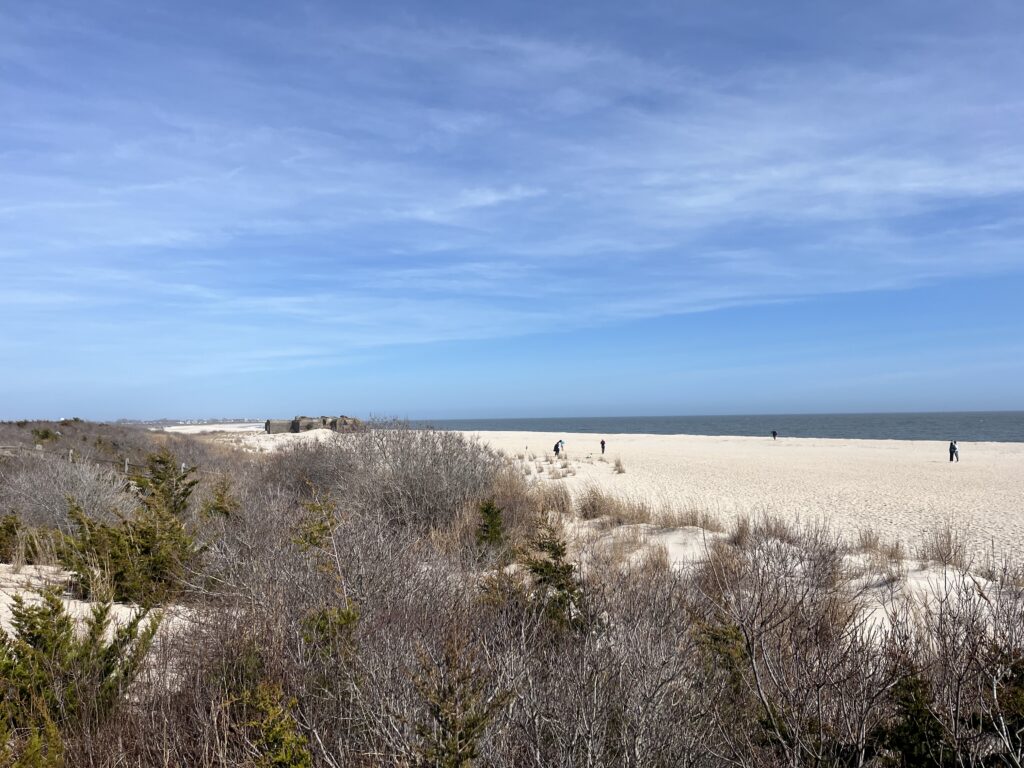 a group of people walking on a beach (MyCoast AI)