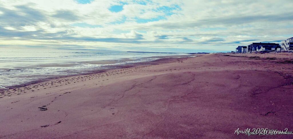 a sandy beach with a building in the distance (MyCoast AI)