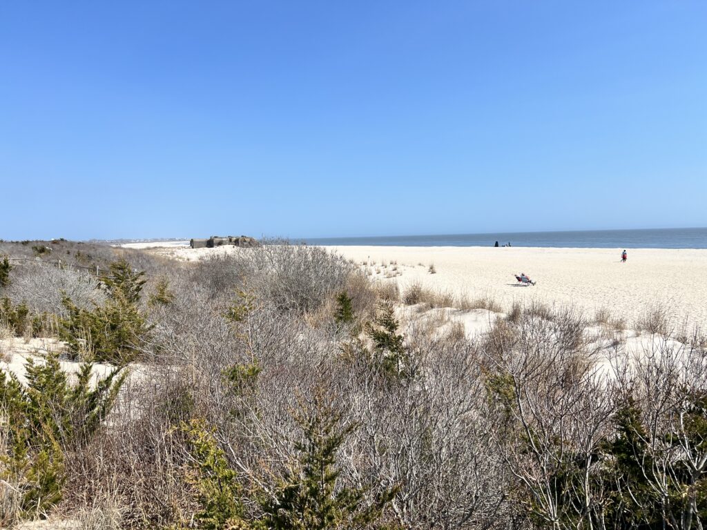 a sandy beach with bushes and trees (MyCoast AI)
