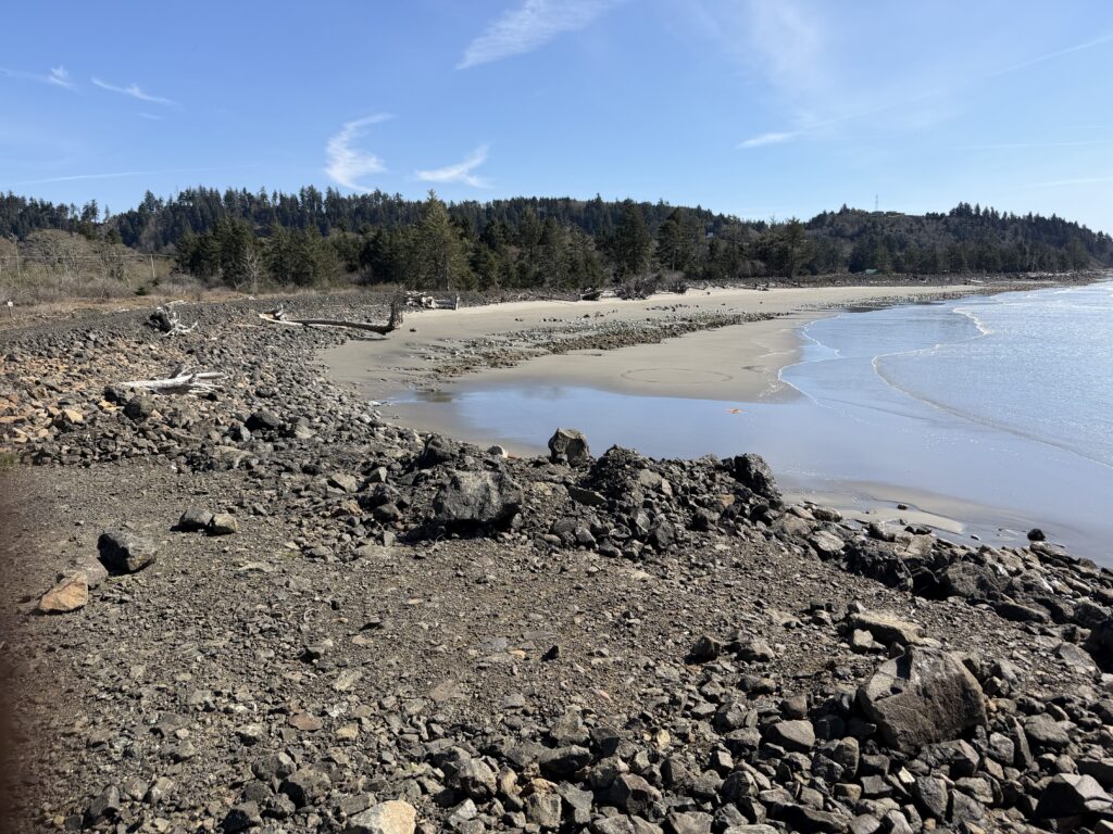 a rocky beach with trees in the background (MyCoast AI)