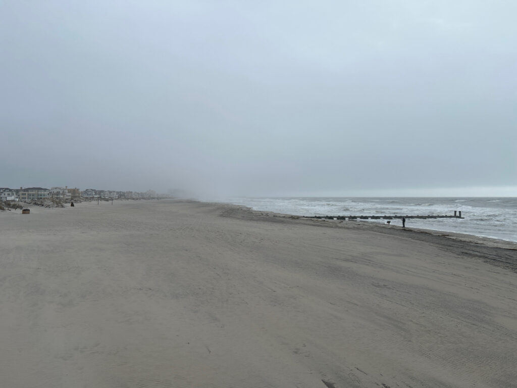 a beach with people walking on it (MyCoast AI)