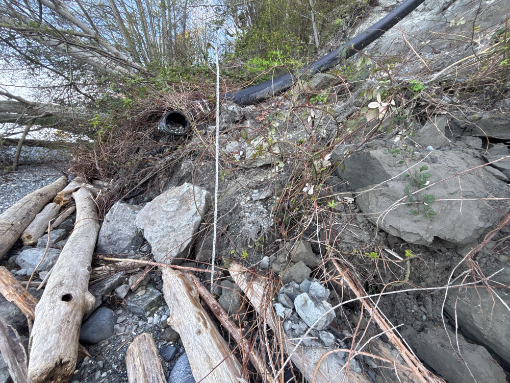 a pile of wood and sticks (MyCoast AI)