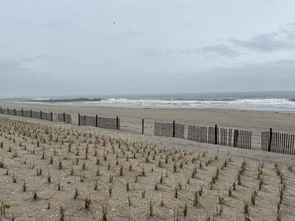 a beach with sand and water (MyCoast AI)