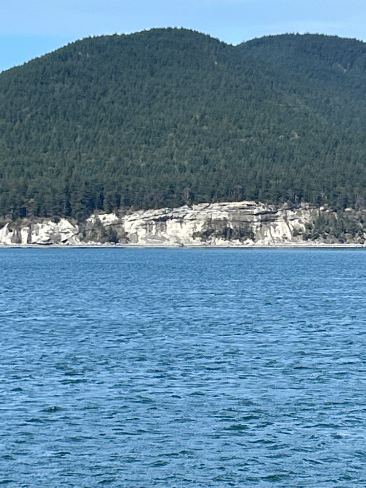 a body of water with a rocky cliff and trees on the side (MyCoast AI)