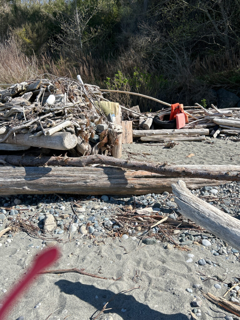 a person sitting on a pile of wood (MyCoast AI)