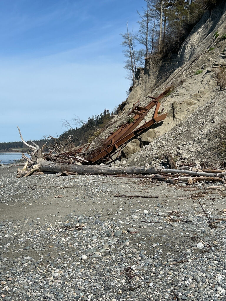 a log on the beach (MyCoast AI)