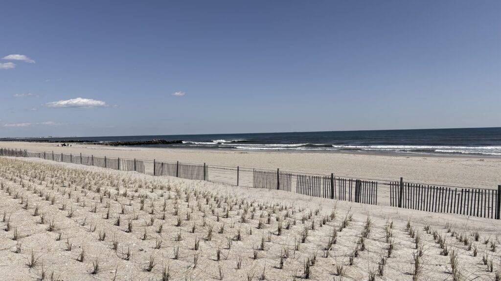 a beach with sand and water (MyCoast AI)