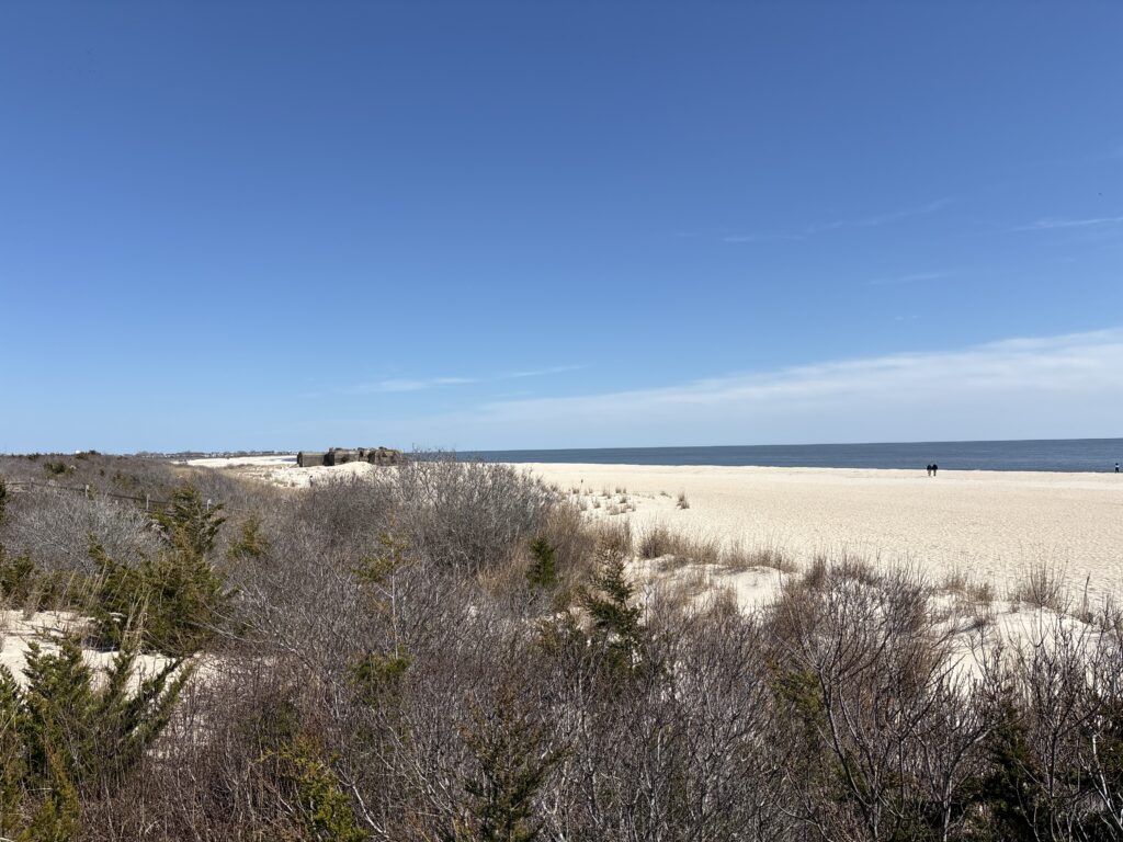 a sandy beach with bushes and trees (MyCoast AI)