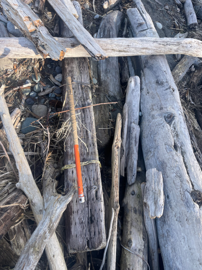 a group of sticks and sticks (MyCoast AI)
