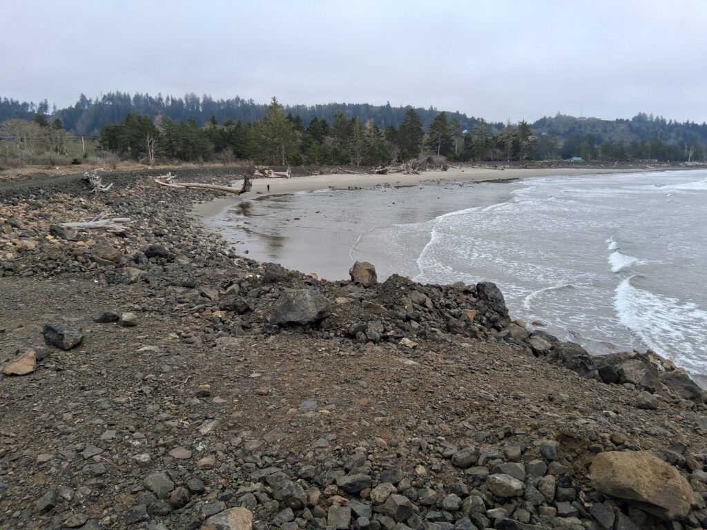 a rocky beach with trees in the background (MyCoast AI)
