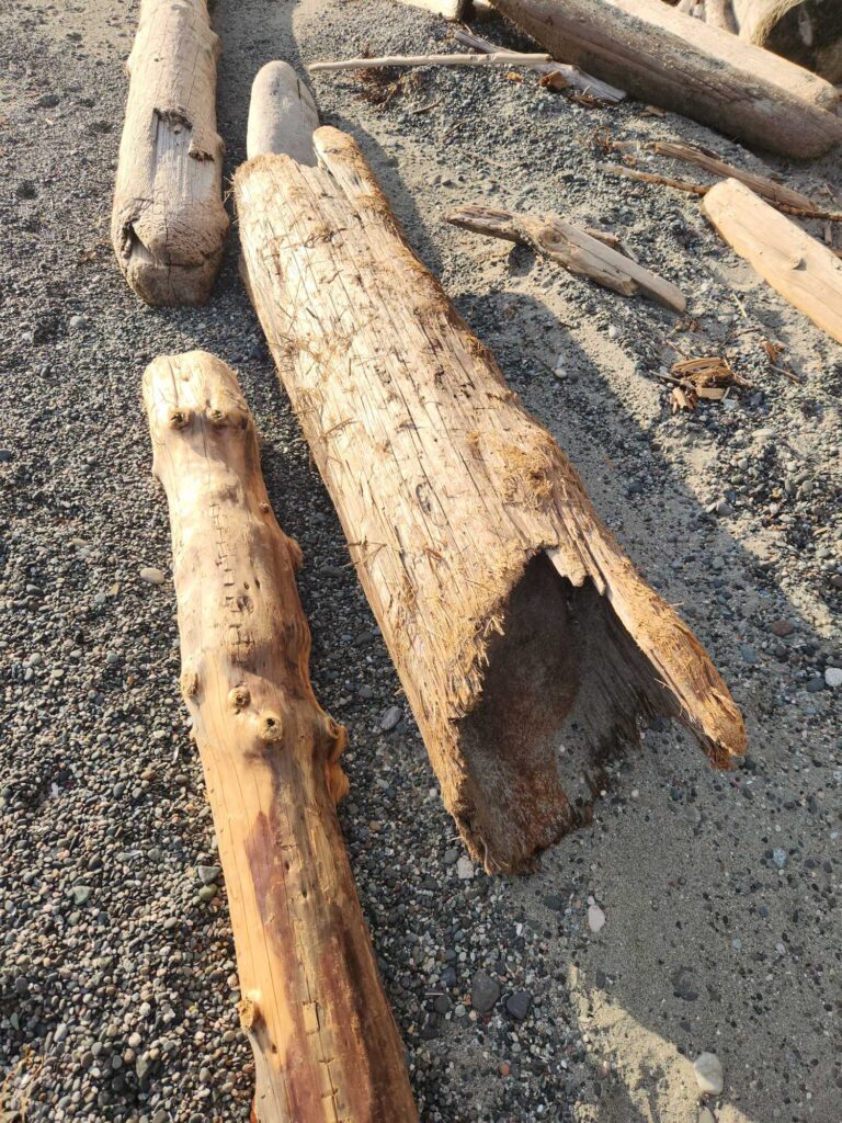a group of wood pieces (MyCoast AI)