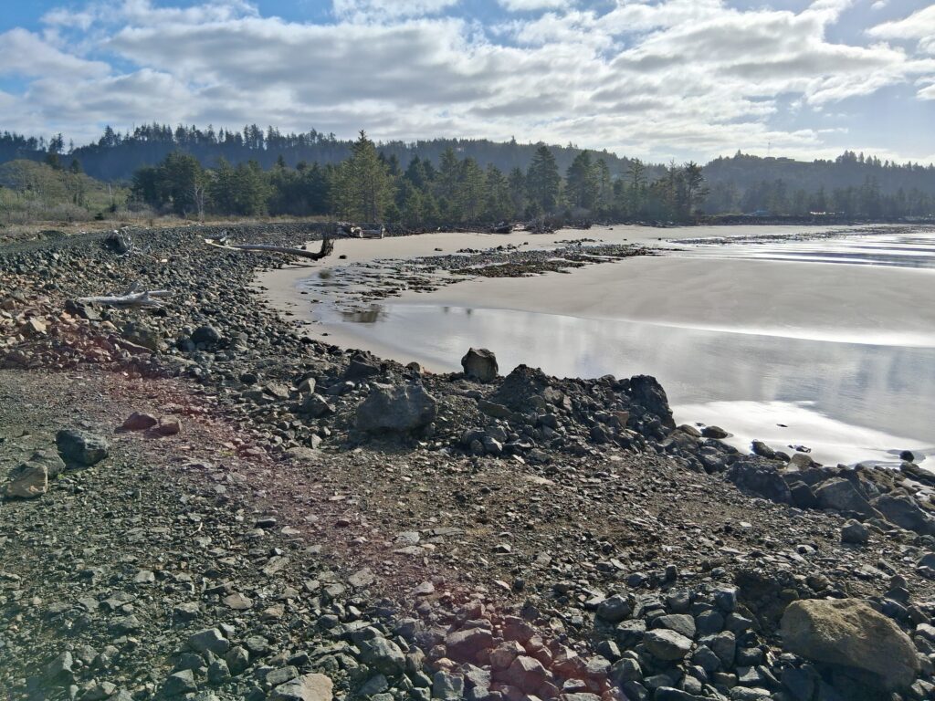 a rocky beach with a body of water and trees in the background (MyCoast AI)