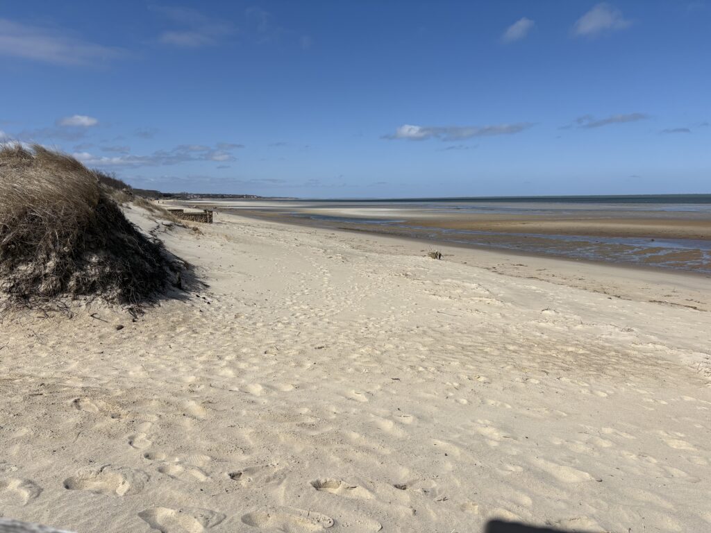 a sandy beach with a body of water in the background (MyCoast AI)