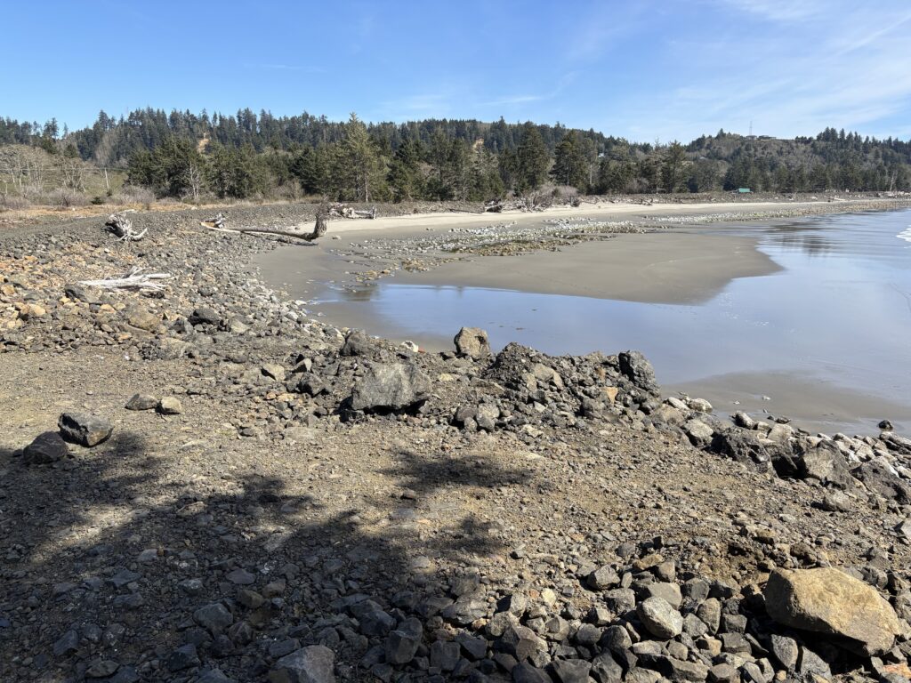 a rocky beach with a body of water and trees in the background (MyCoast AI)