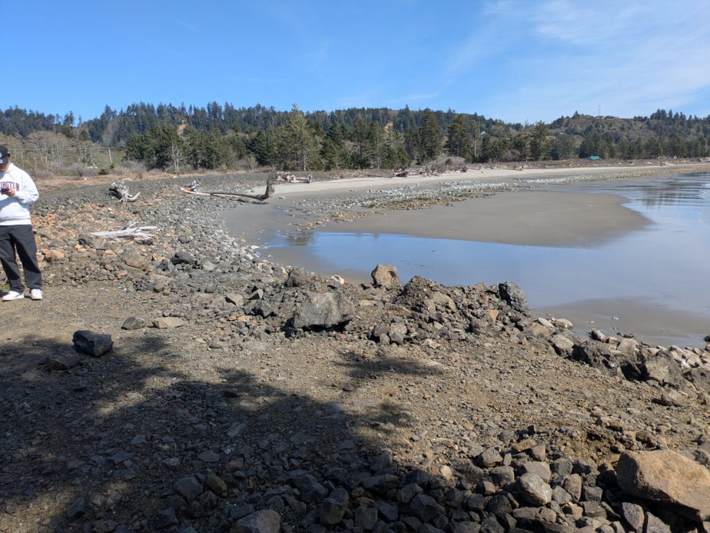a person standing on a rocky beach (MyCoast AI)