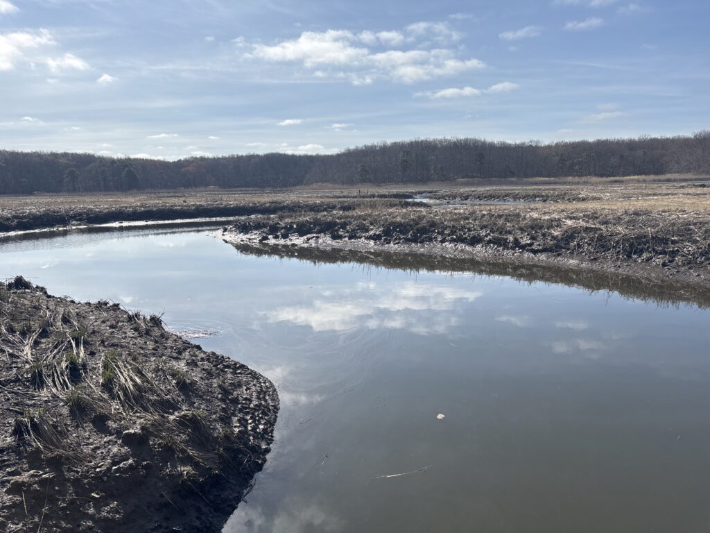 a body of water with rocks and trees in the background (MyCoast AI)