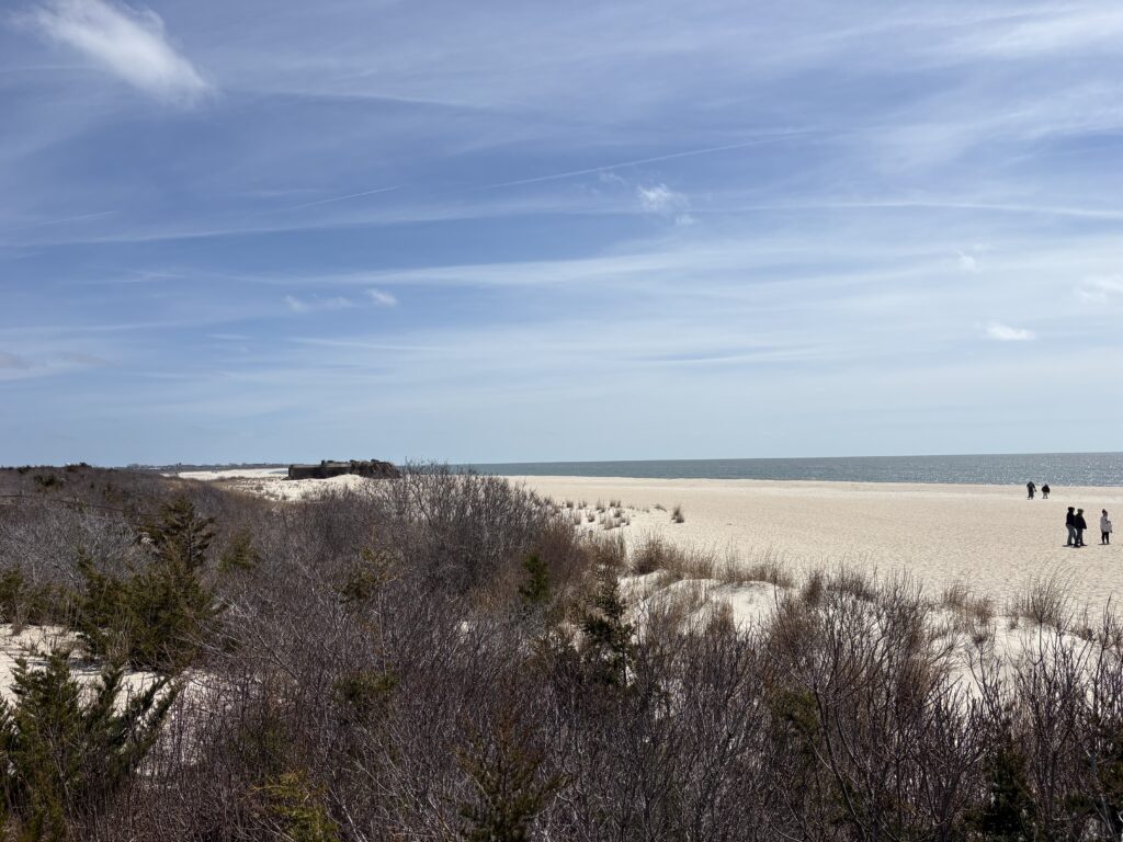 a group of people walking on a beach (MyCoast AI)