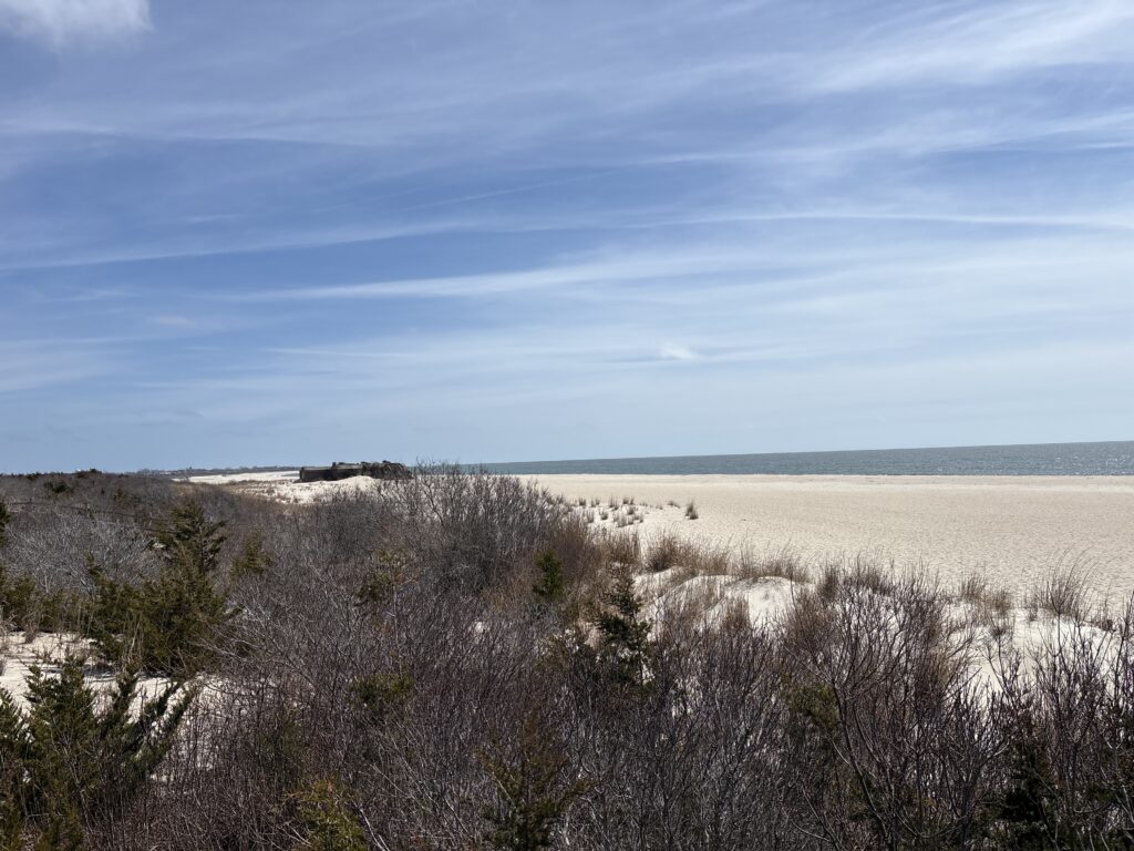 a field of dry grass (MyCoast AI)