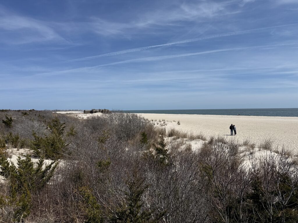 a person walking in a field (MyCoast AI)