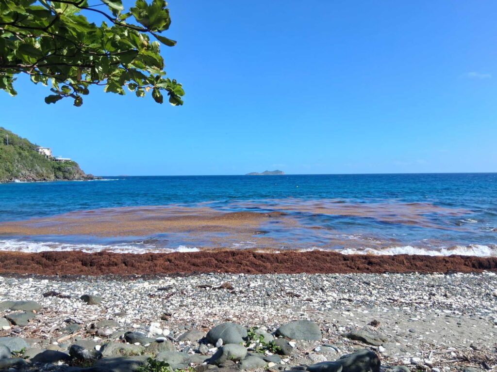 a rocky beach with a body of water in the background (MyCoast AI)