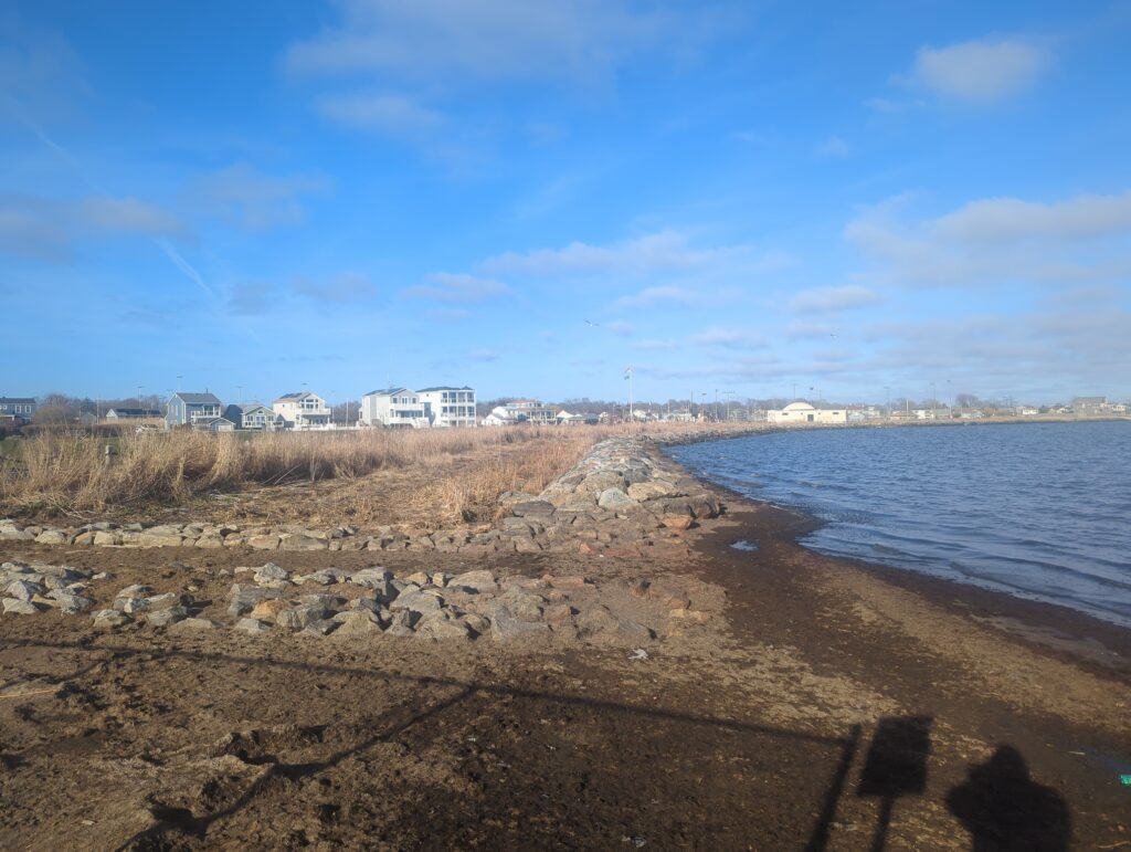 a beach with houses in the background (MyCoast AI)