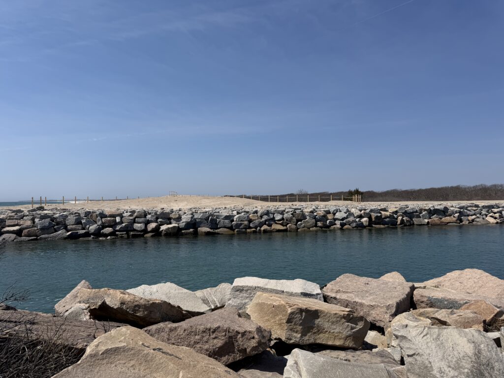 a body of water with rocks and a beach in the background (MyCoast AI)