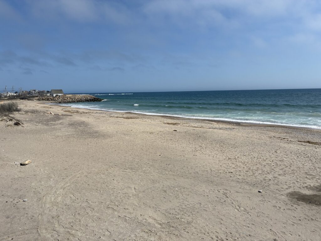 a sandy beach with a body of water in the background (MyCoast AI)