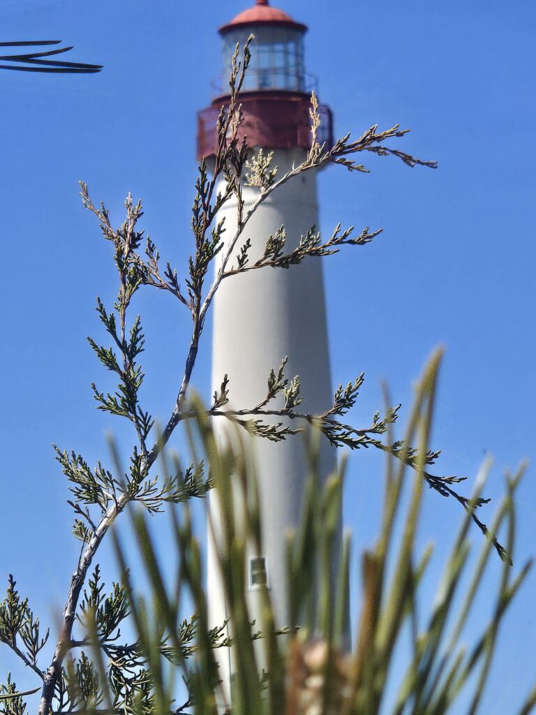 a tall white tower with a red top and a white top (MyCoast AI)
