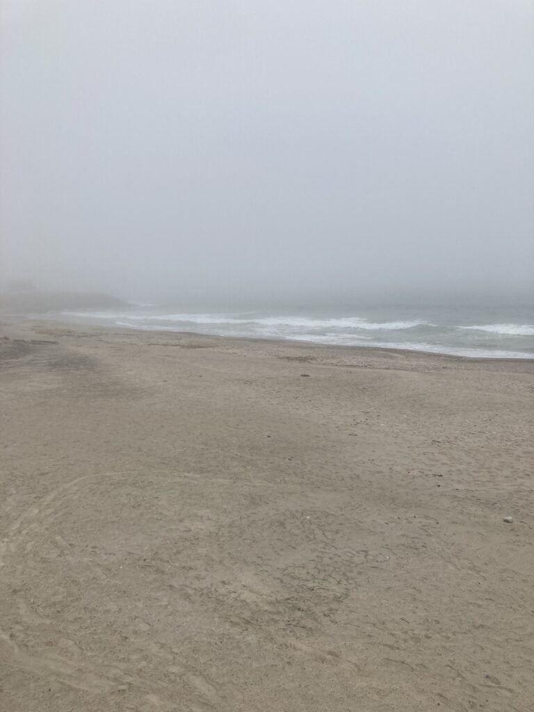 a sandy beach with waves crashing (MyCoast AI)