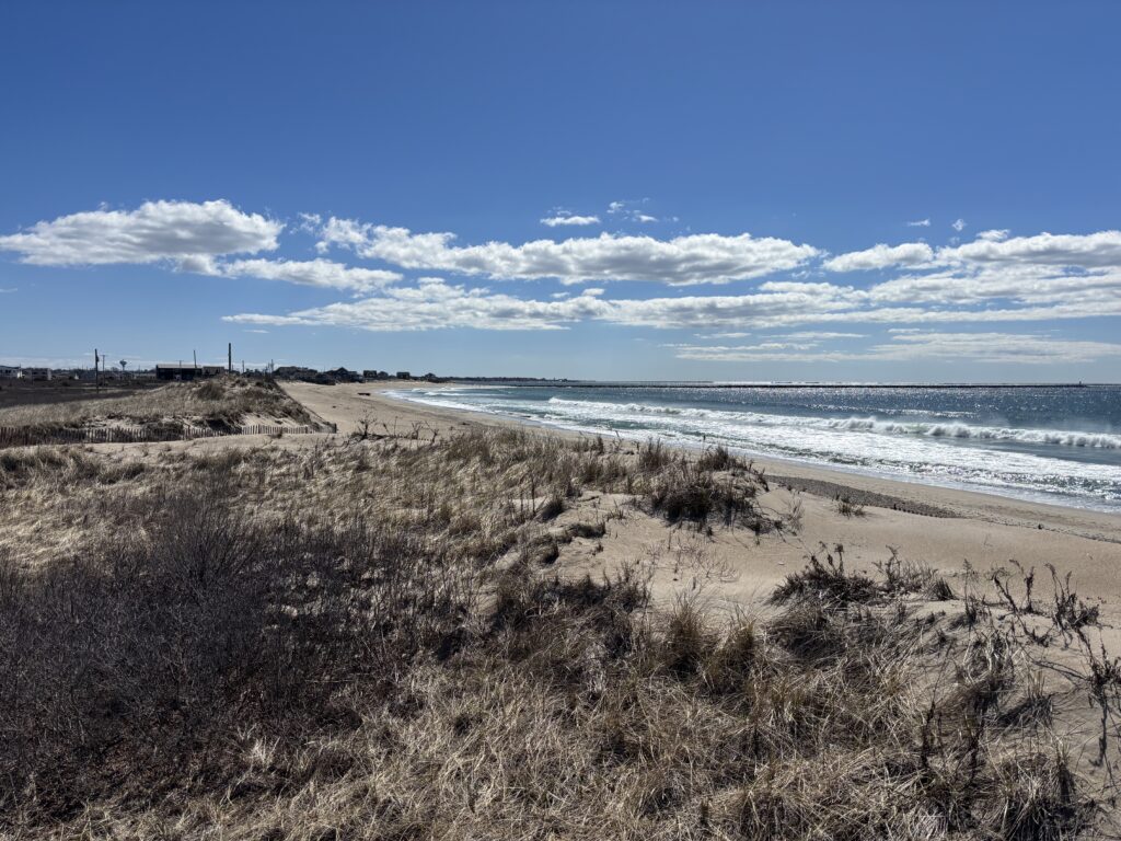 a sandy beach with bushes and water (MyCoast AI)