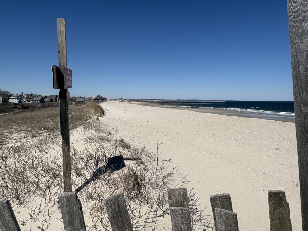 a beach with snow (MyCoast AI)