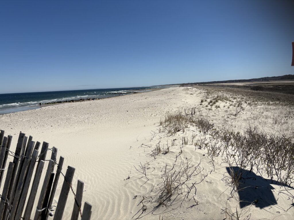 a beach with snow (MyCoast AI)