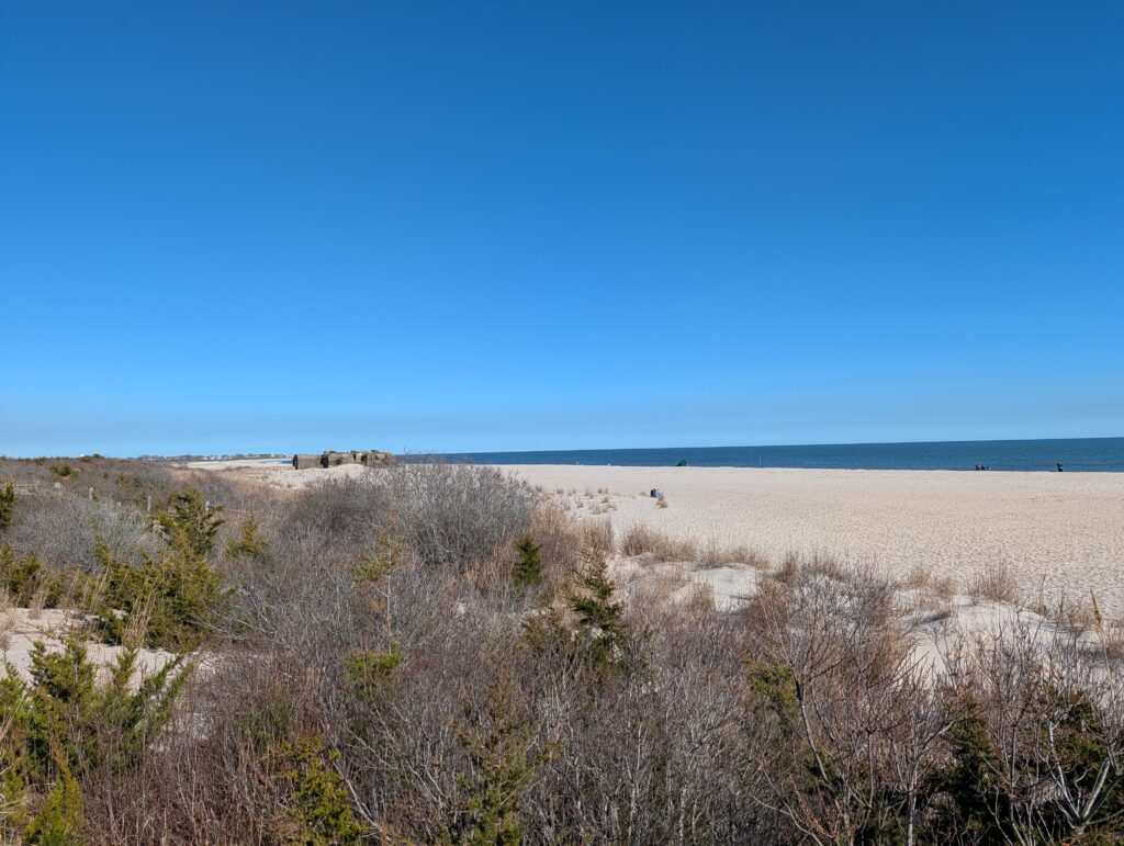 a sandy beach with bushes and trees (MyCoast AI)