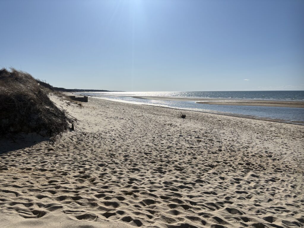 a sandy beach with a body of water in the background (MyCoast AI)