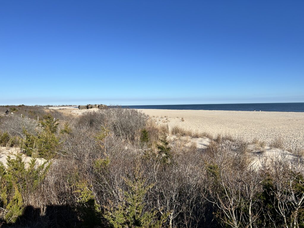 a field of dry grass (MyCoast AI)