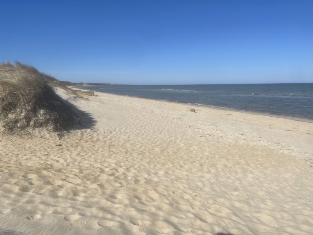 a sandy beach with a hill and water in the background (MyCoast AI)