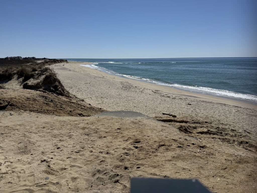 a sandy beach with a body of water in the background (MyCoast AI)