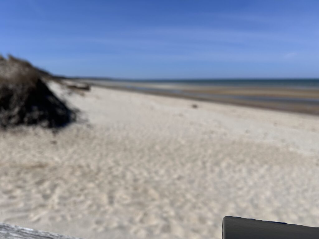 a sandy beach with a blue sky (MyCoast AI)