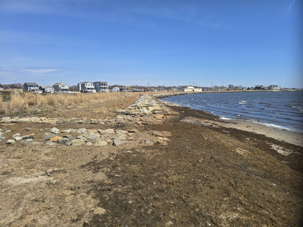a rocky beach with houses in the background (MyCoast AI)