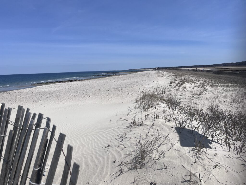 a beach with snow (MyCoast AI)
