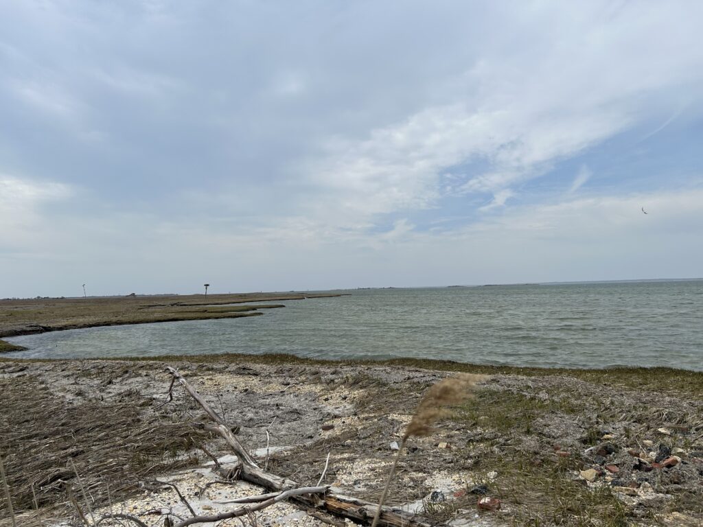a beach with a body of water (MyCoast AI)