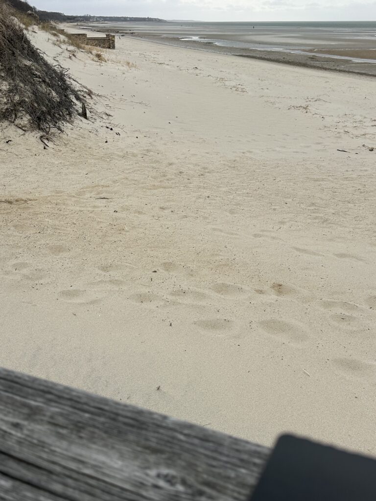 a sandy beach with a bench (MyCoast AI)