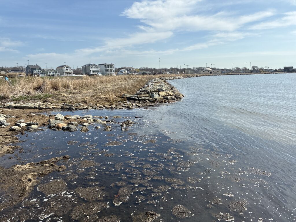 a rocky beach with buildings in the background (MyCoast AI)