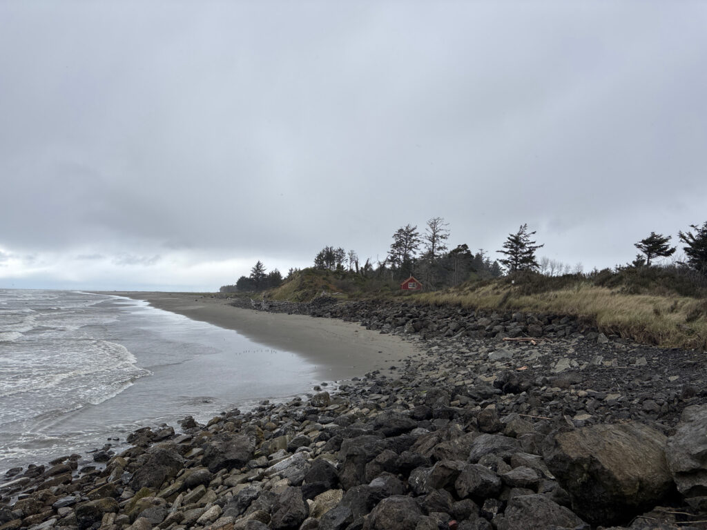 a rocky beach with trees and a body of water (MyCoast AI)