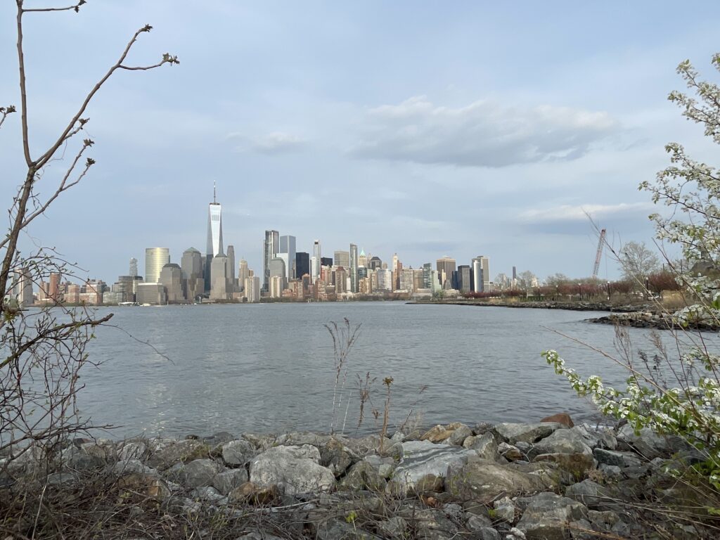 a city skyline across a body of water (MyCoast AI)