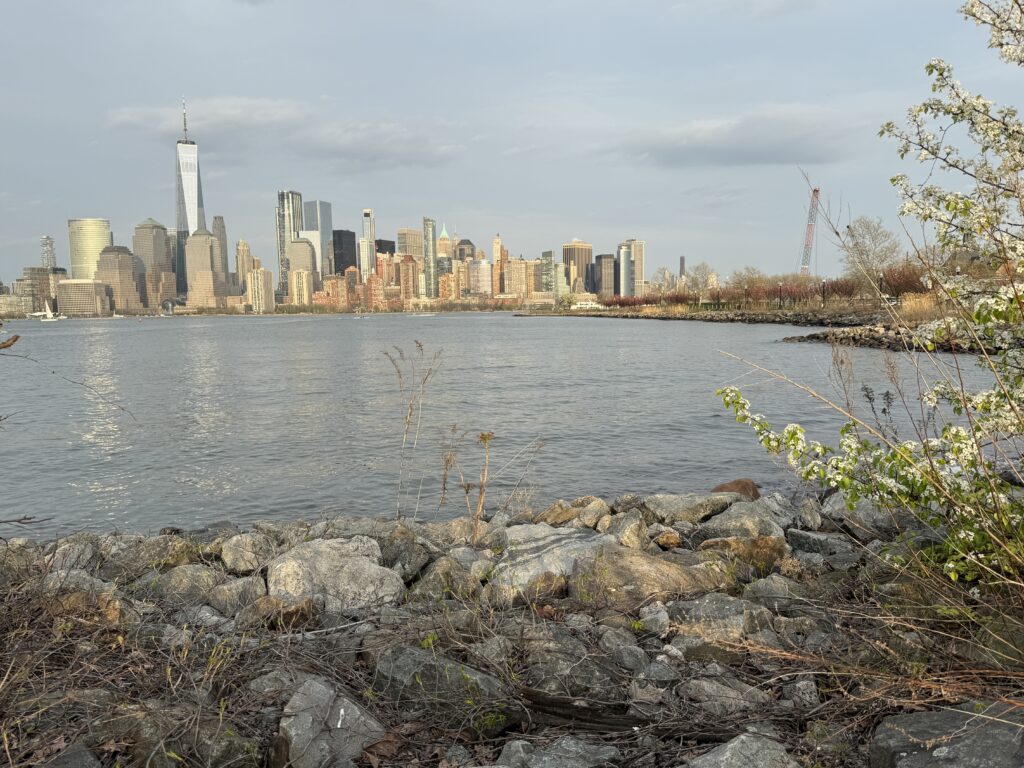 a city skyline across a body of water (MyCoast AI)