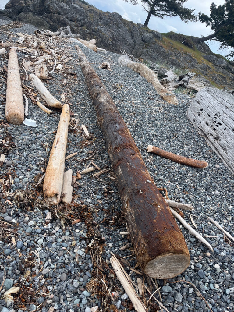 a group of logs on a rocky ground (MyCoast AI)